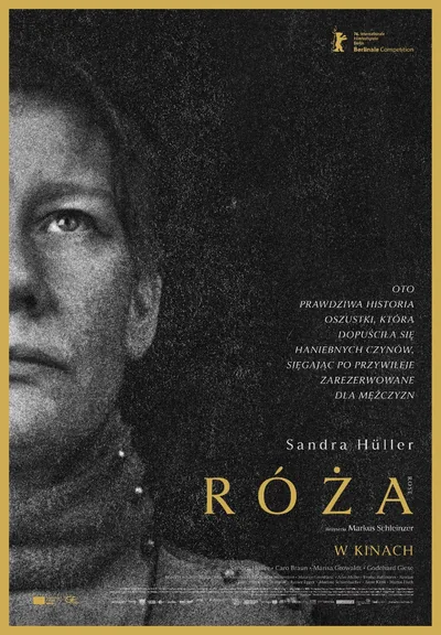 Materiał organizatora: Róża