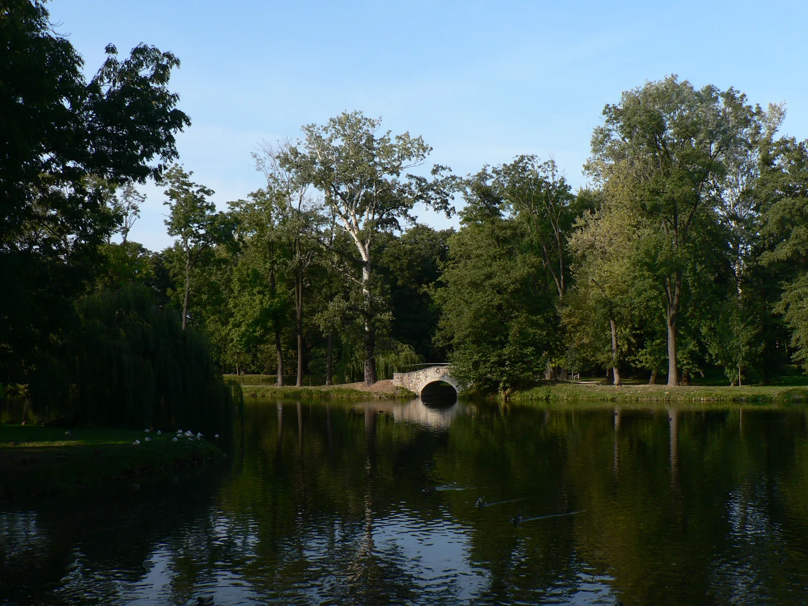 Park Potulickich w Pruszkowie